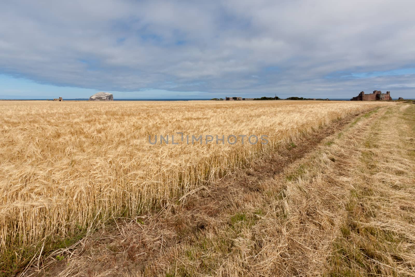 iew of Tantallon Castle ruins near North Berwick