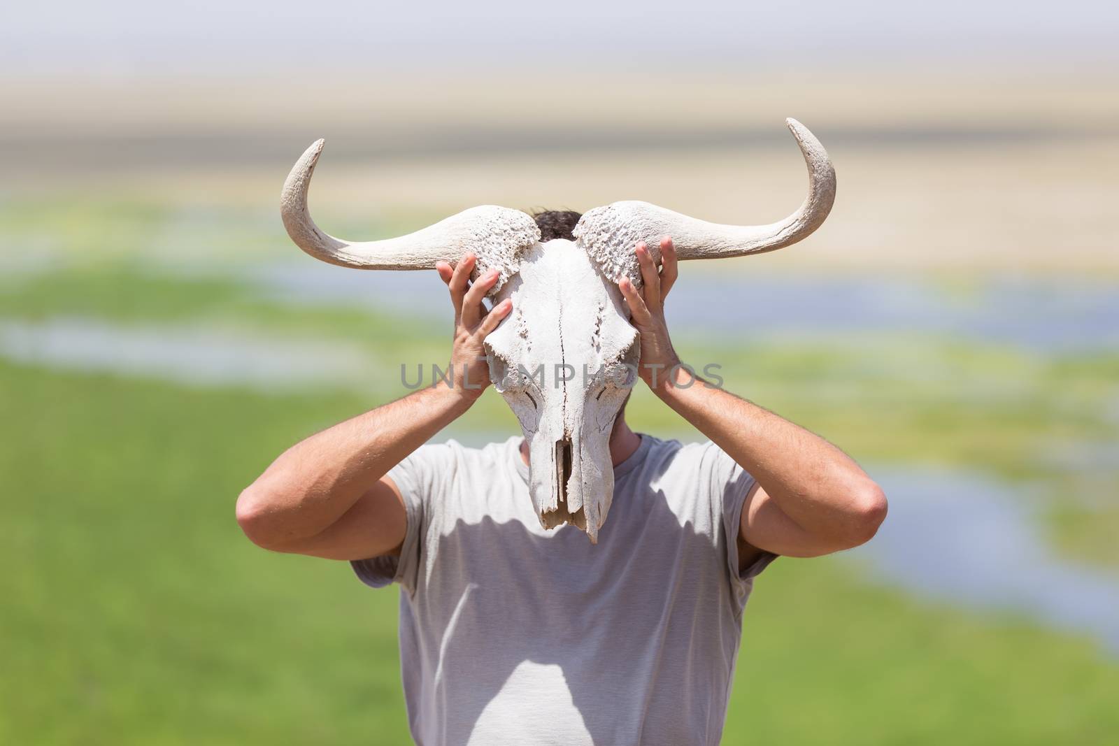 Man holding a white wildebeest skull wearing it like a mask in nature on african wildlife safari, Amboseli national park, Kenya.