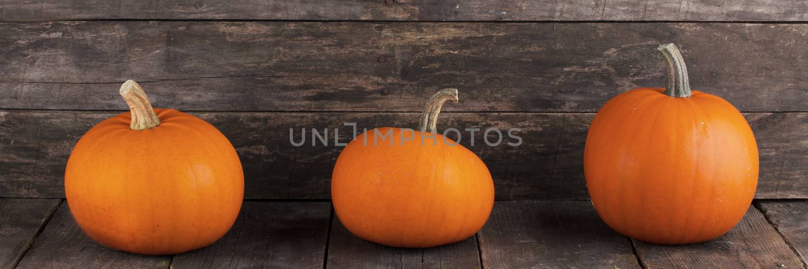 Three orange pumpkins on dark wooden background, Halloween concept