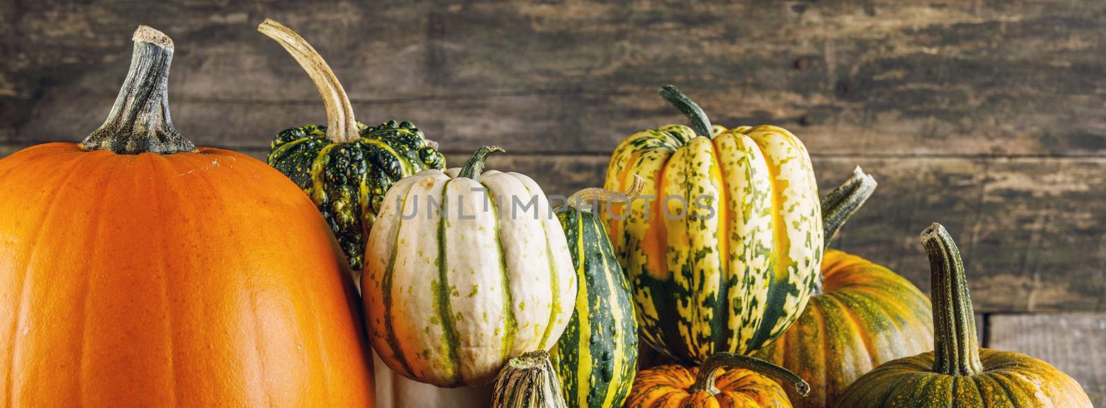 Many orange pumpkins on dark wooden background, Halloween or Thanksgiving day concept