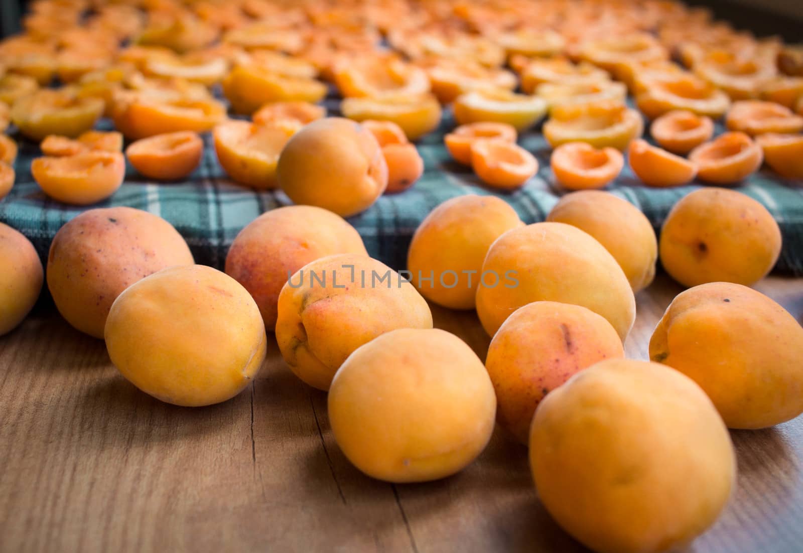 Summer harvest of fresh juicy mellow and sun-dried apricots prepared for conservation
