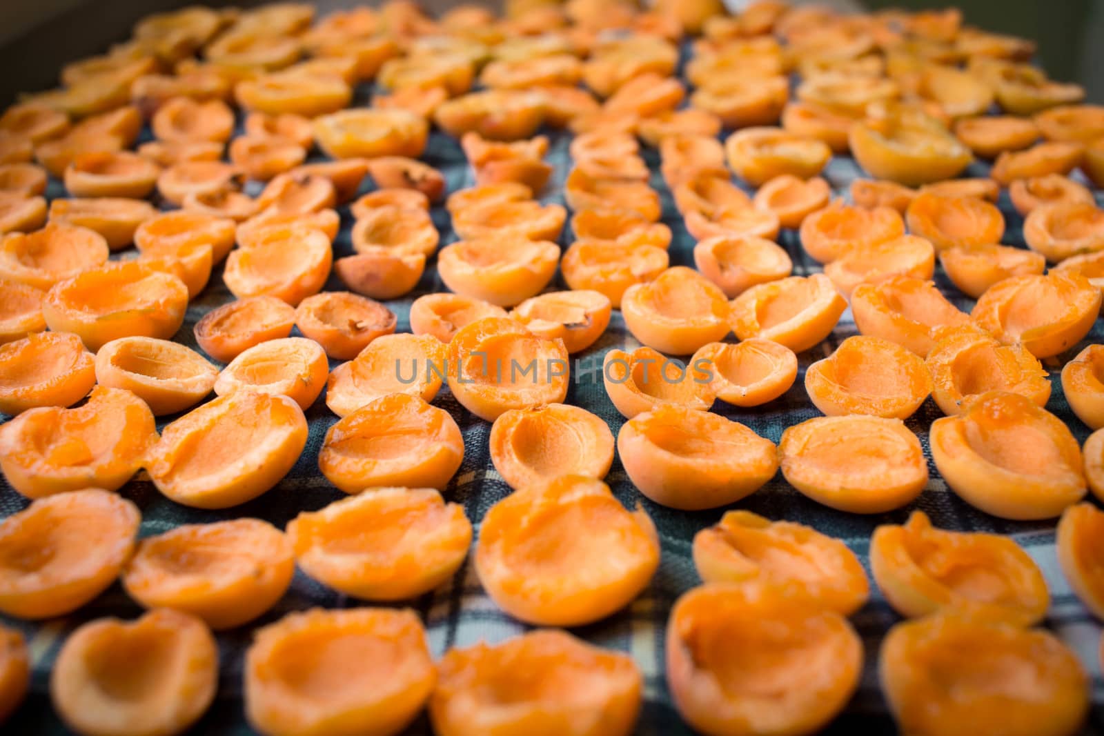 Fresh summer harvest of juicy mellow orange apricot fruits are drying on sun preparing for conservation