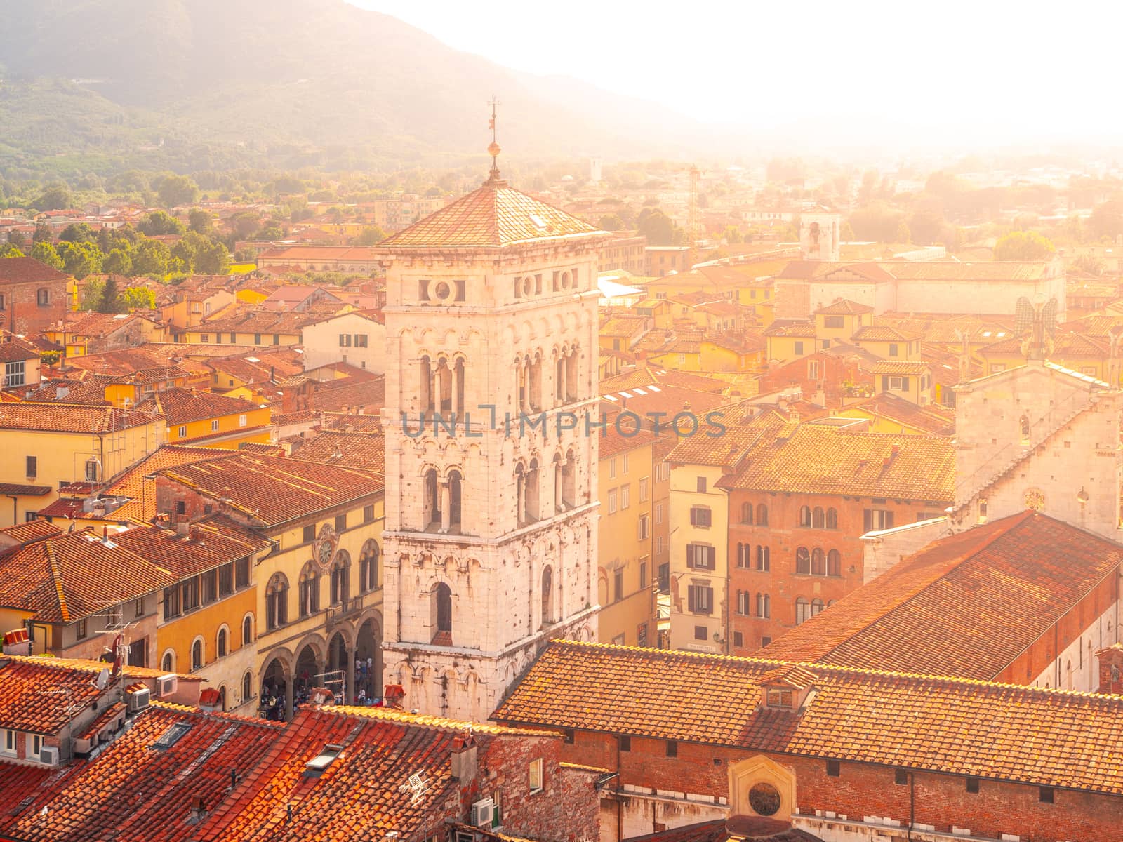 Bell tower of San Michele in Foro Basilica in Lucca, Tuscany, Italy.