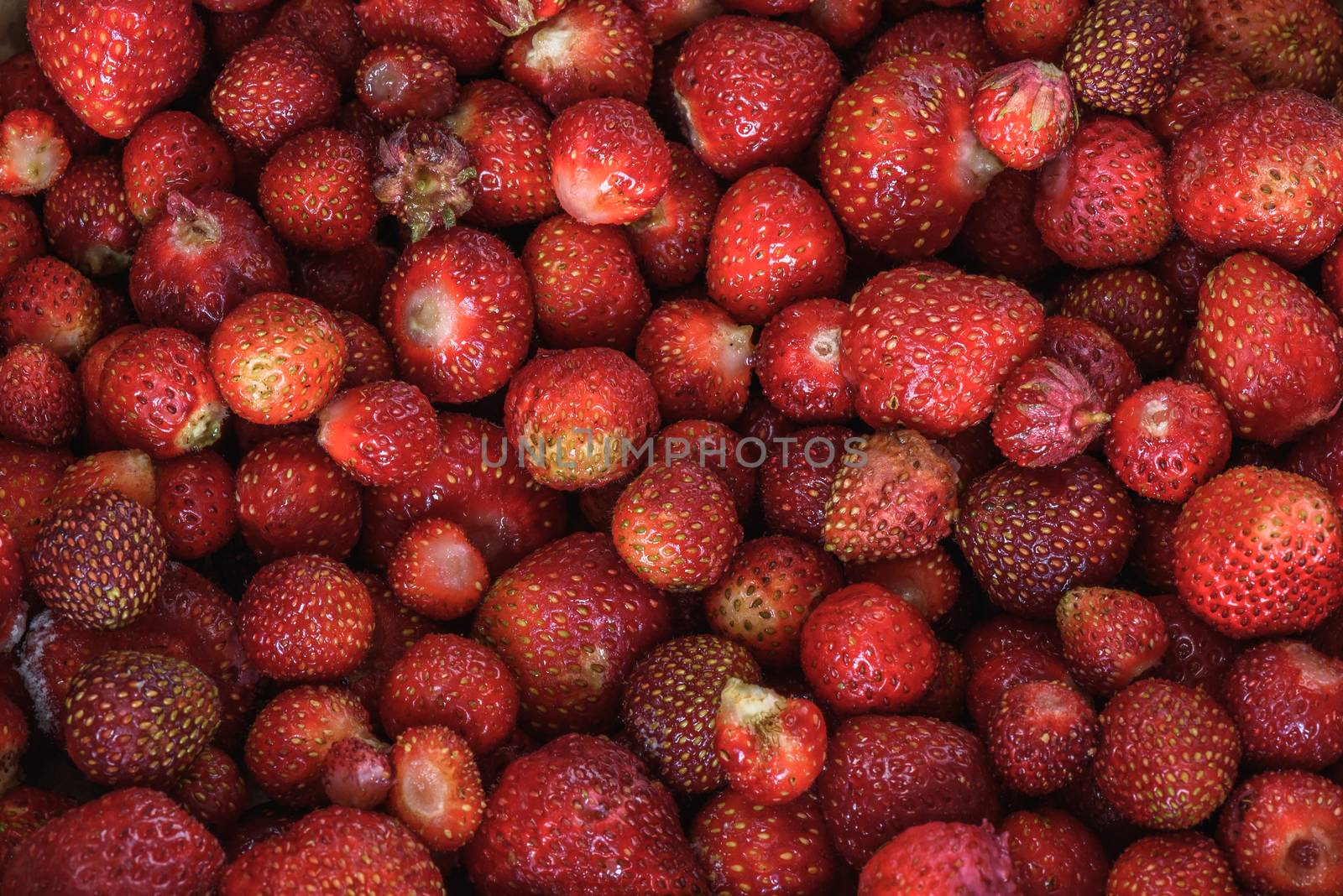 harvest fresh and ripe strawberry background wallpaper