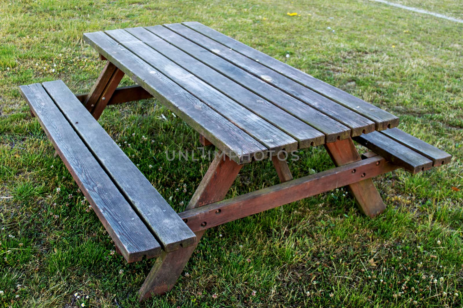 Wooden table bench standing on grass on football field in summer.