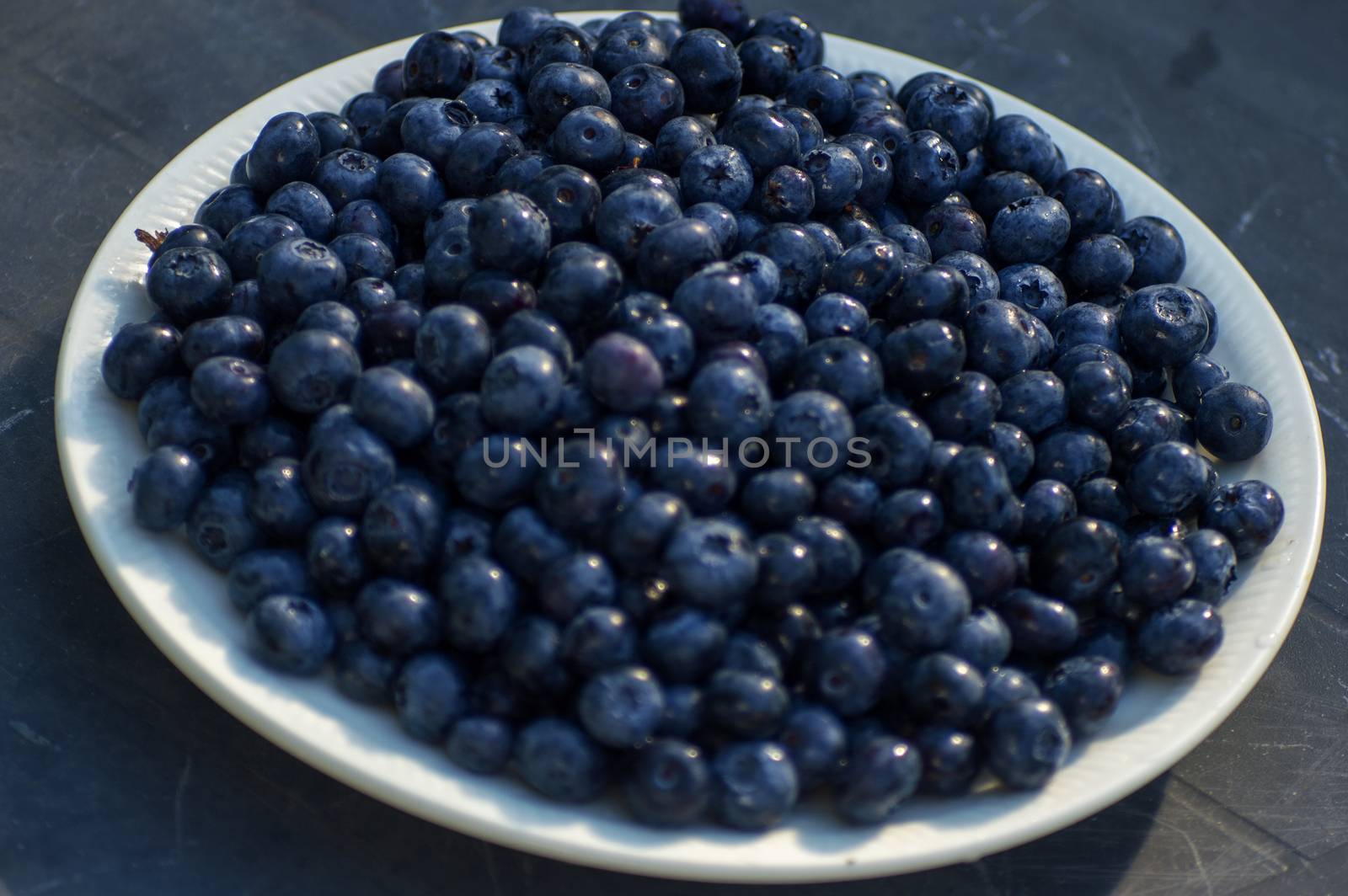 Blueberries by Mads_Hjorth_Jakobsen
