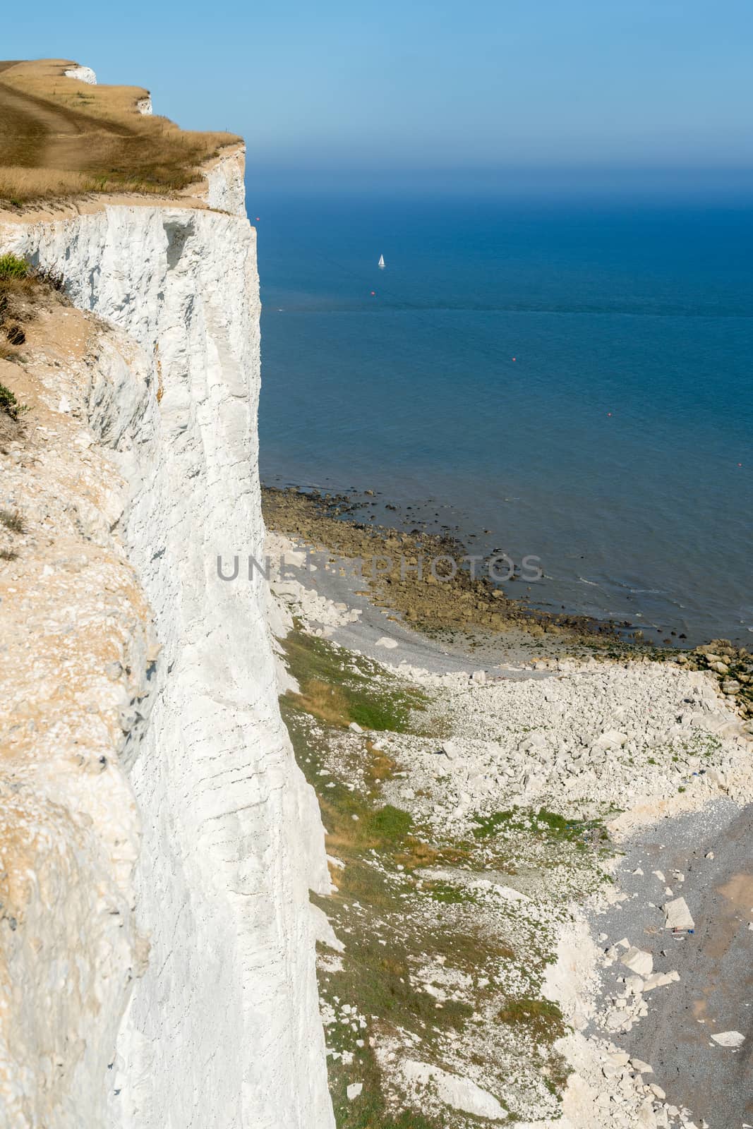 View of the white cliffs at Beachy Head in East Sussex by phil_bird