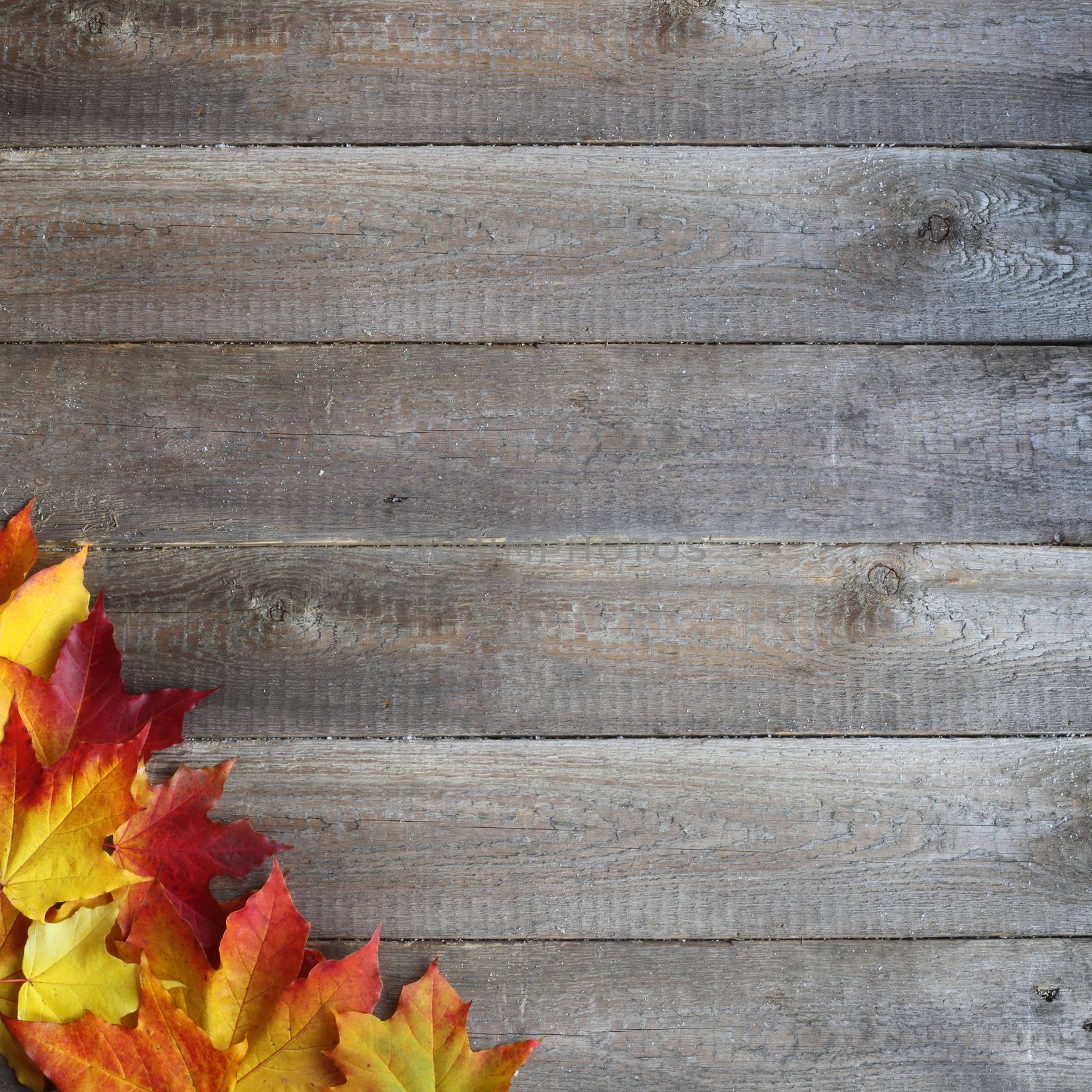 Autumn leaves frame on wooden background by destillat