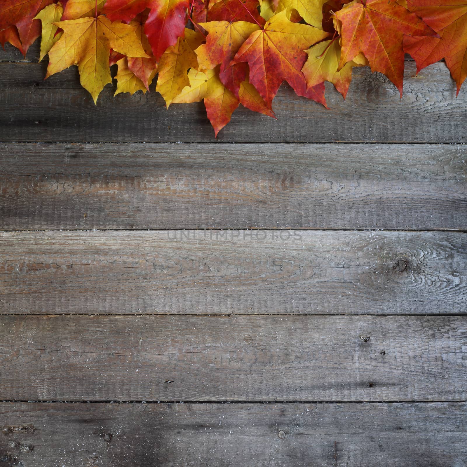 Autumn leaves frame on wooden background by destillat
