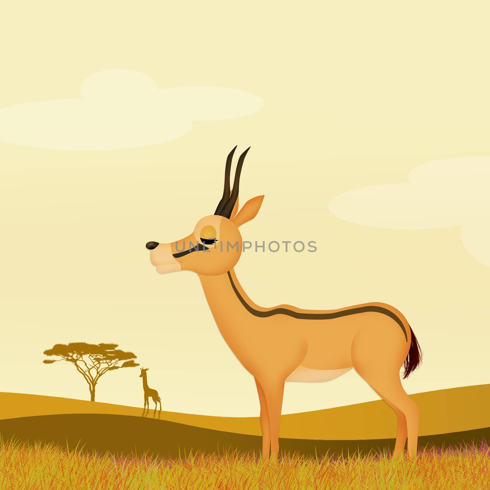 illustration of gazelle in the savannah