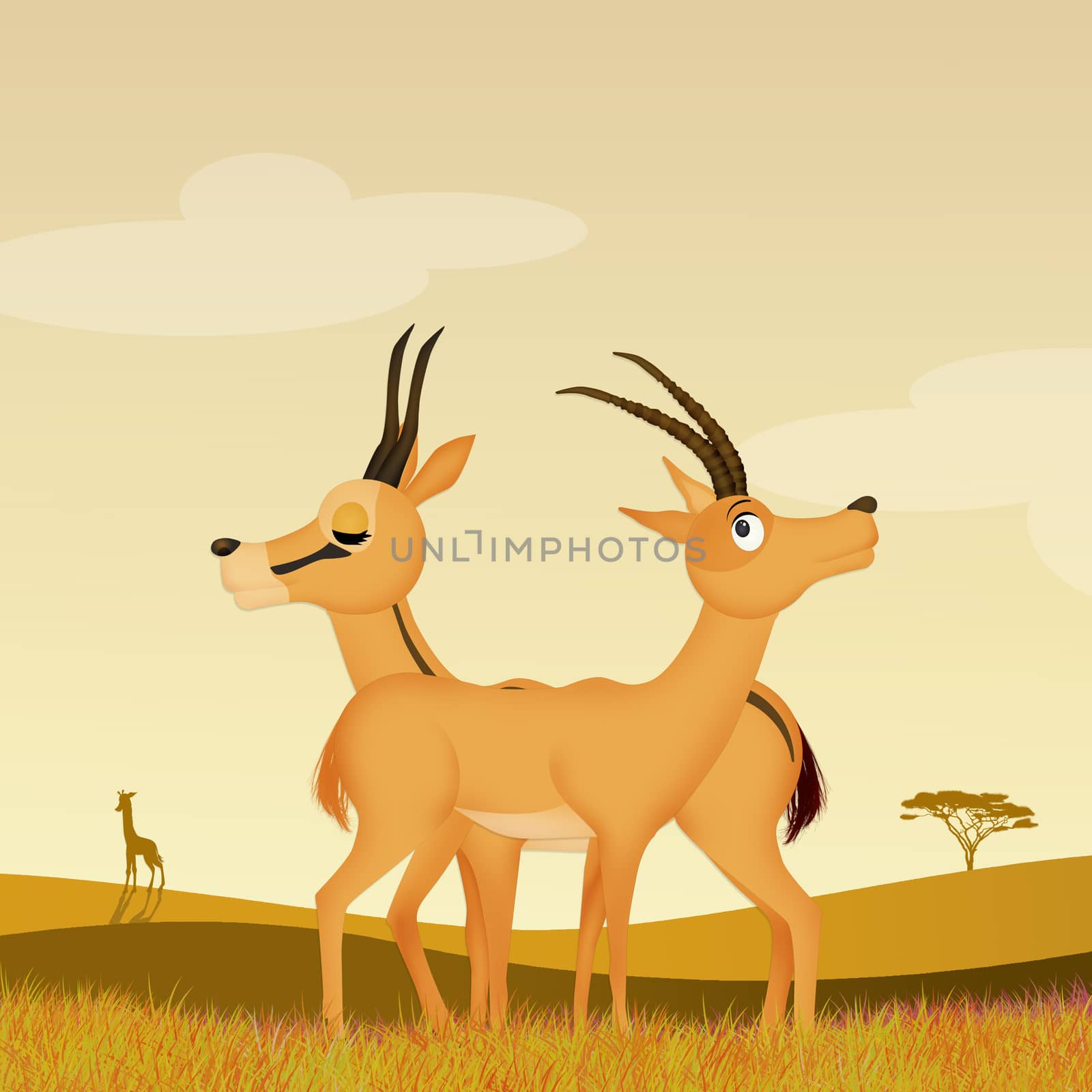 illustration of gazelle couple in the wild