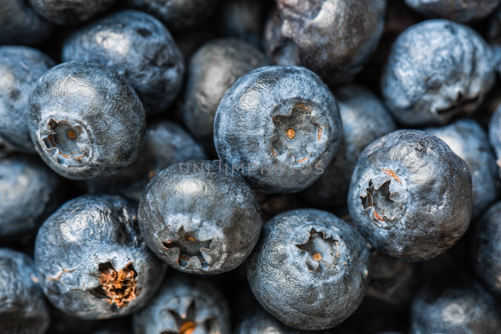 Ripe blueberries harvest close up horizontal background.