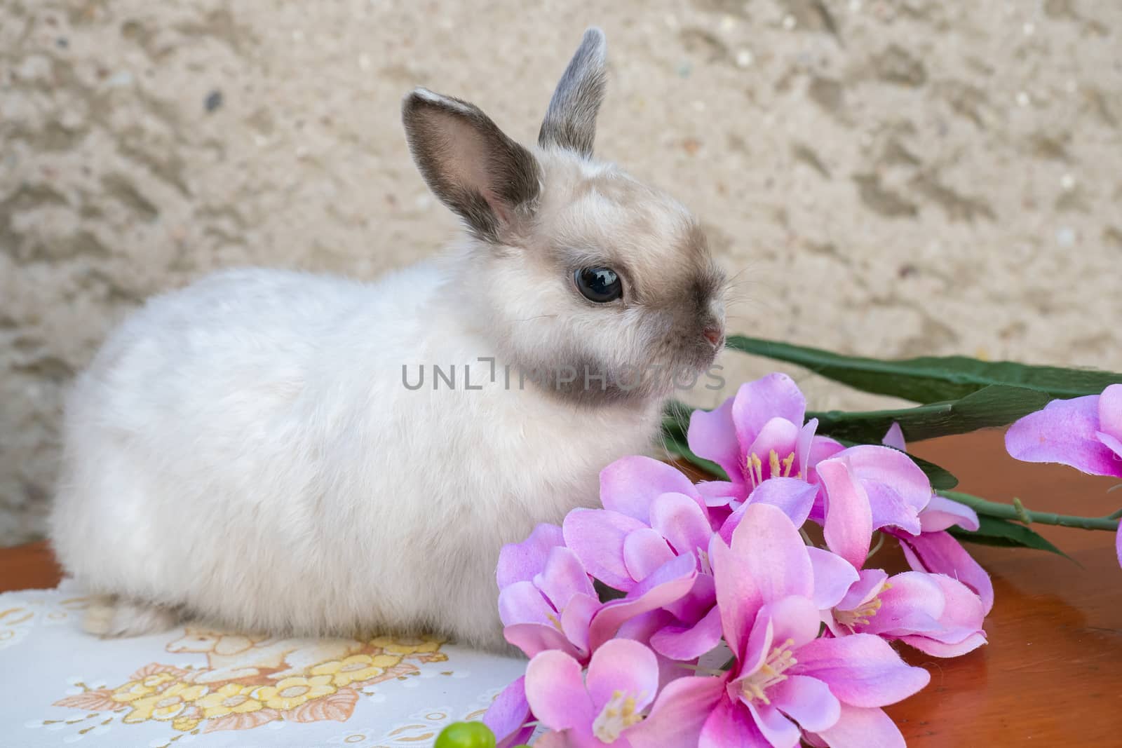 Easter bunny near spring wreath. Little dwarf rabbit sitting near flowers.