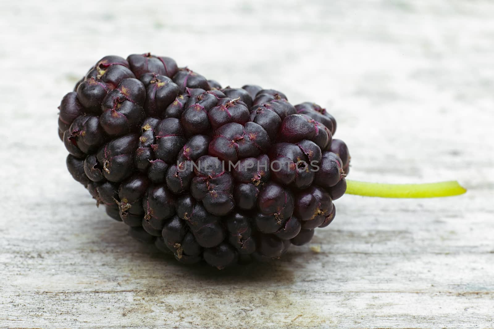 Black mulberry  (Morus nigra), one berry on the wood table by vainillaychile