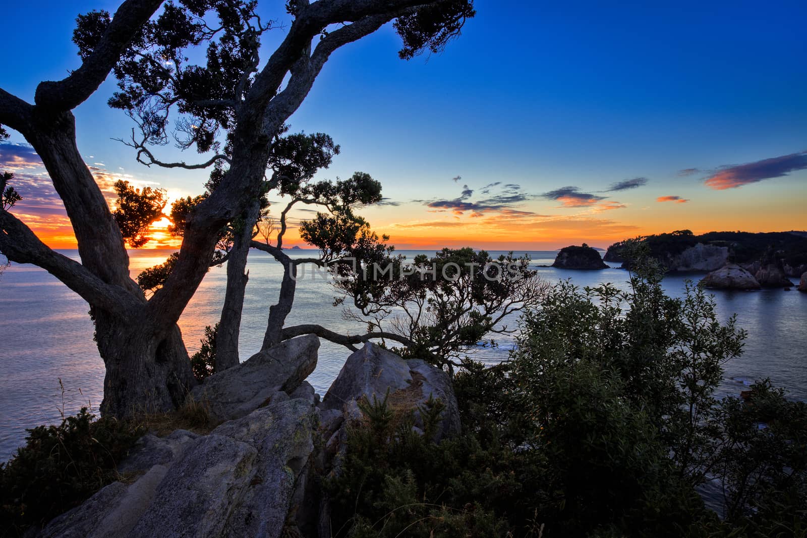 Sunrise at Te Pare Point