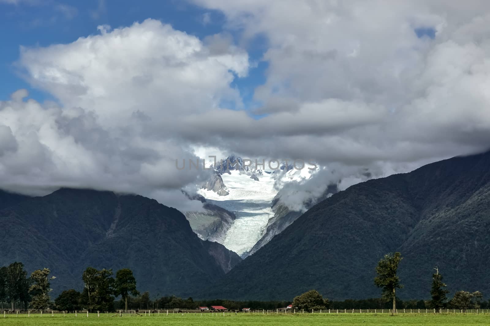 Fox Glacier