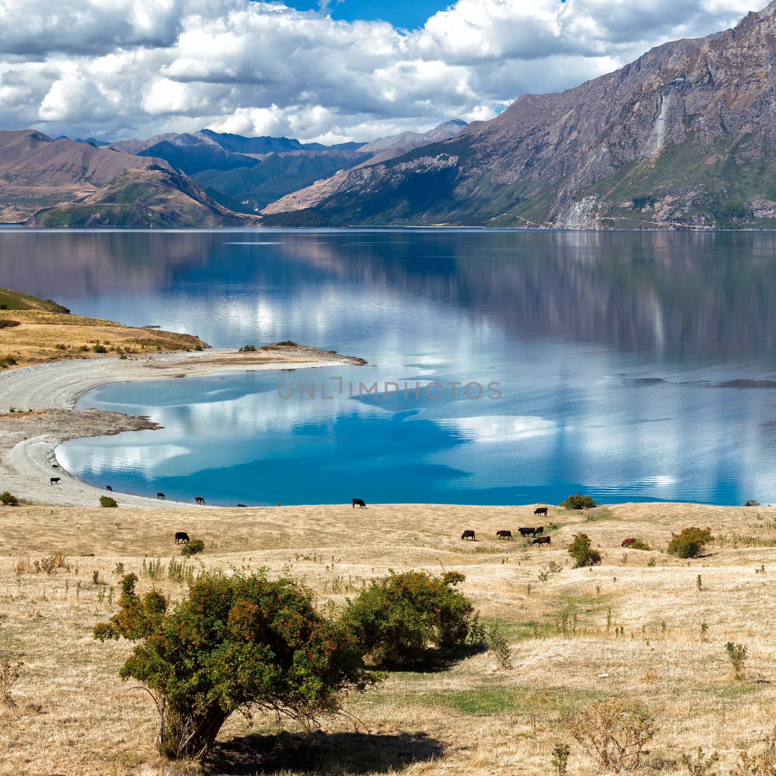 Scenic View of Lake Hawea