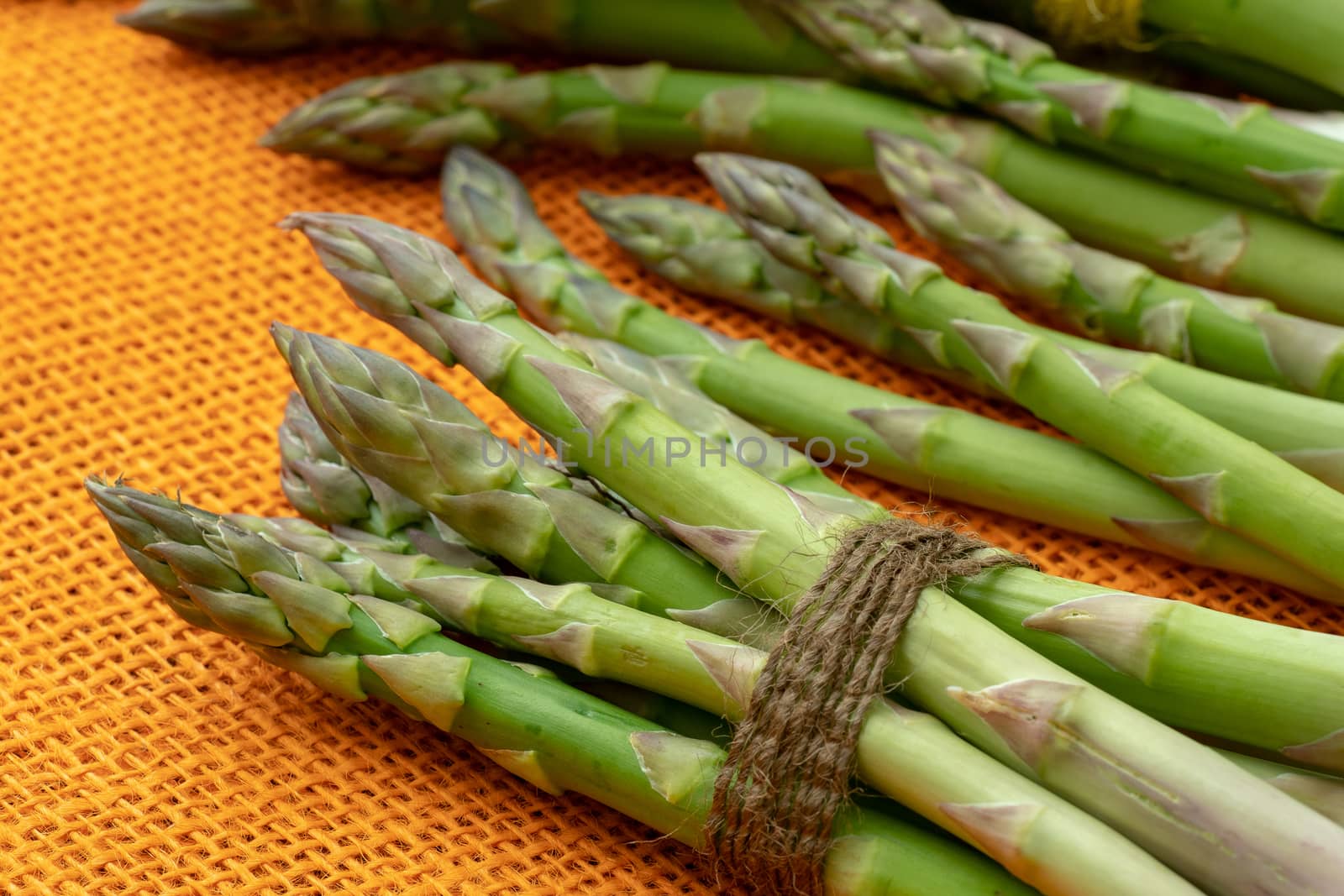 Raw garden asparagus stems. Fresh green spring vegetables on orange background. (Asparagus officinalis).