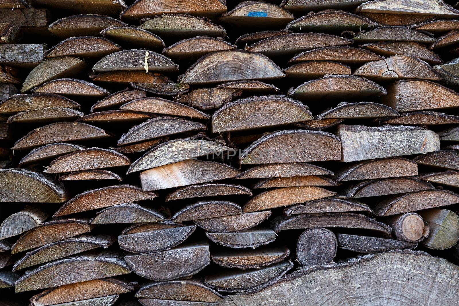 Spruce wood in the background. Firewood stack.