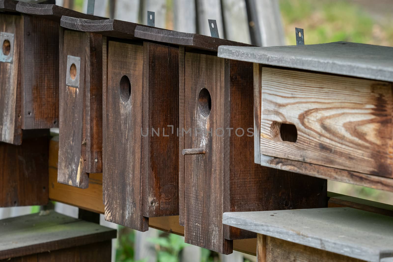 Wooden bird houses in a row, bird boxes.