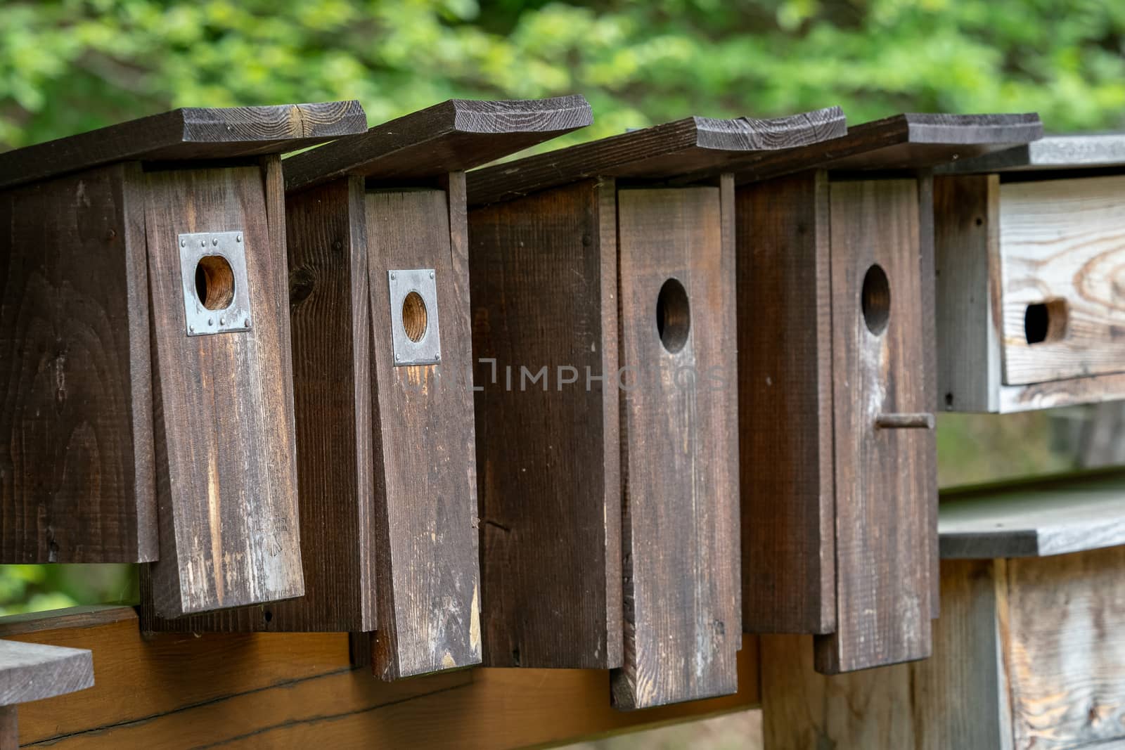 Wooden bird houses in a row, bird boxes. by xtrekx