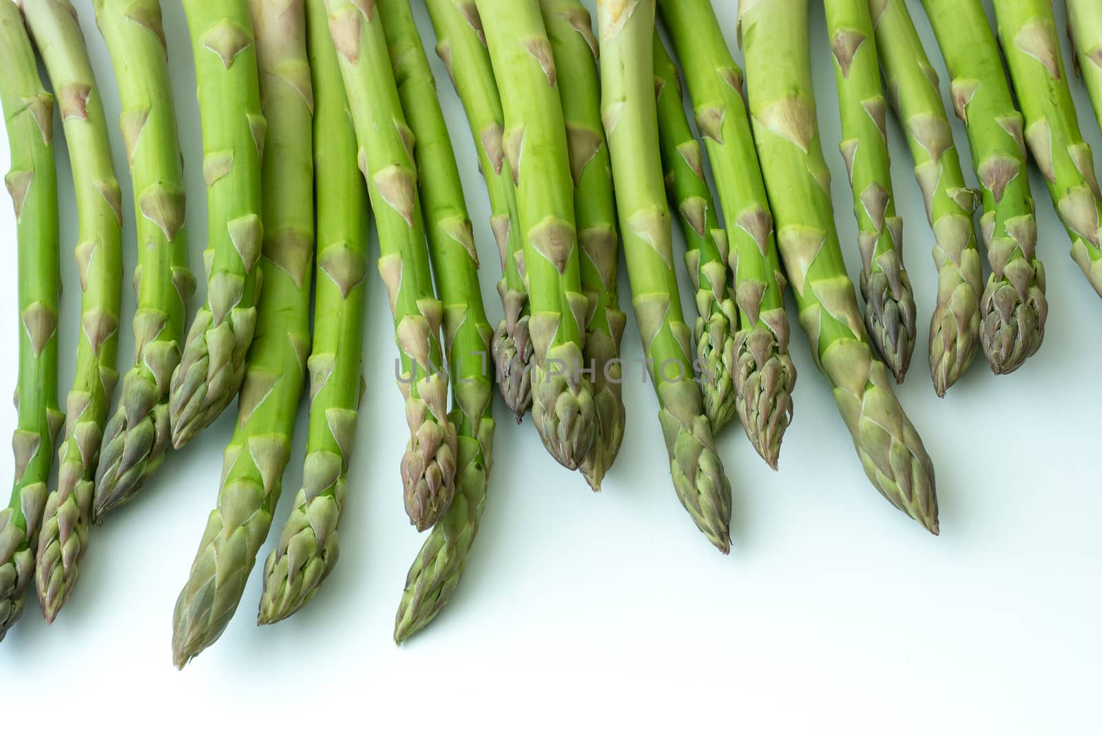 Fresh asparagus officinalis isolated on white background