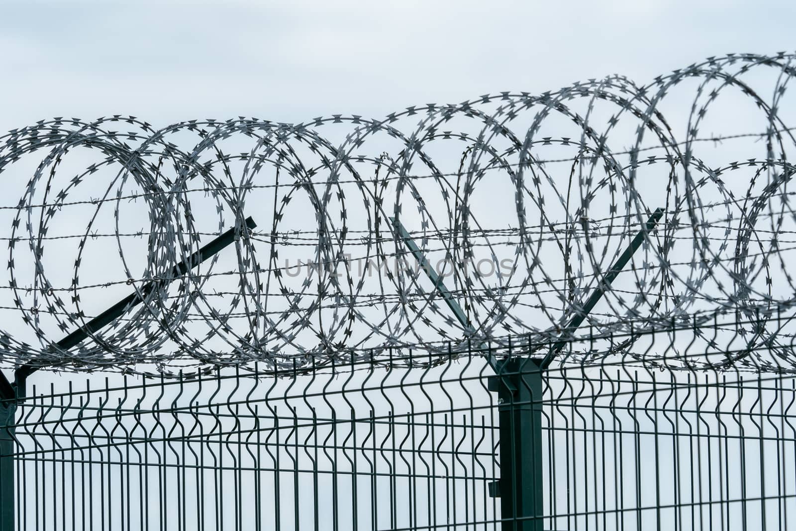 Security fence with a barbed wire. Fence with a barbed wire.