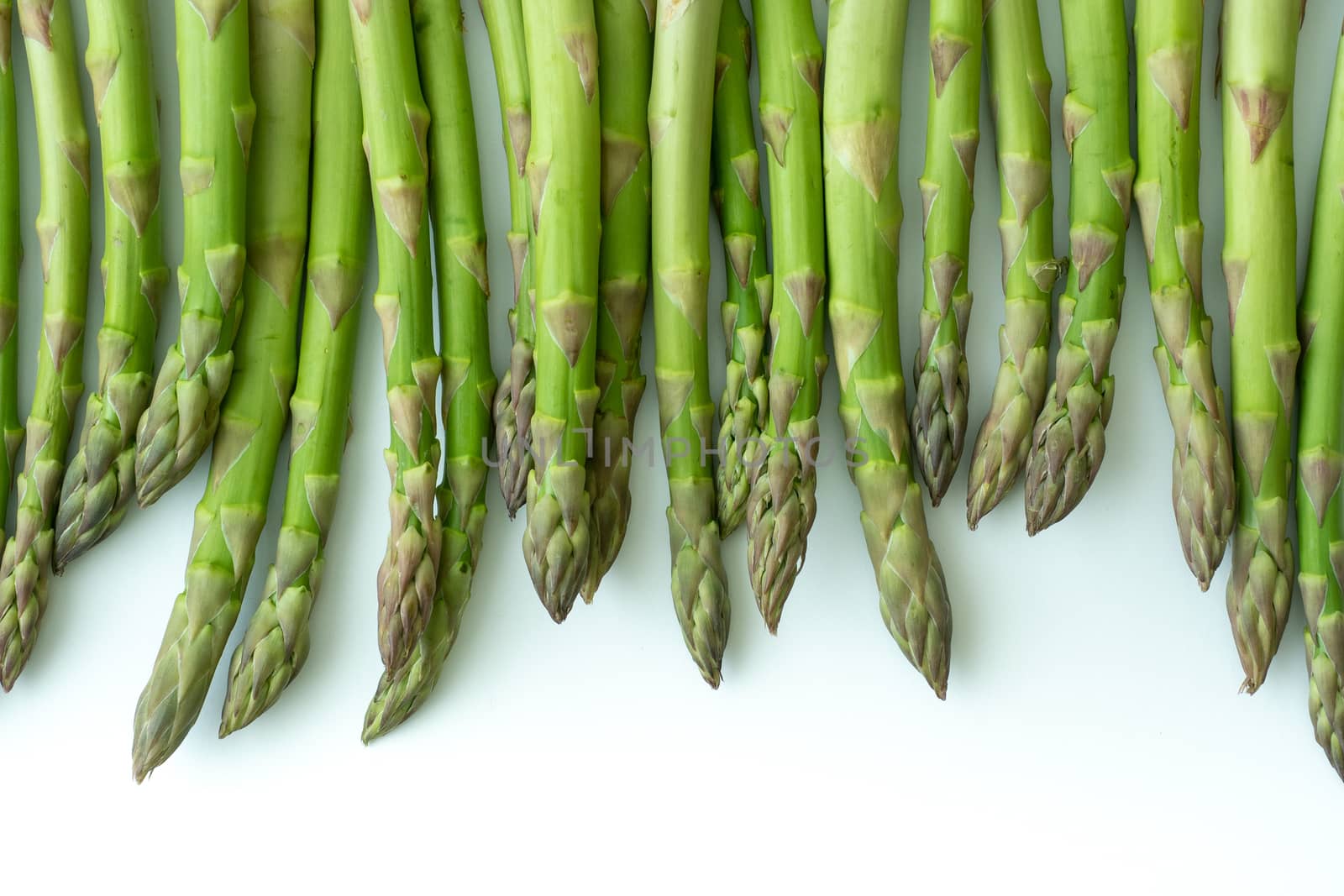 Fresh asparagus officinalis isolated on white background