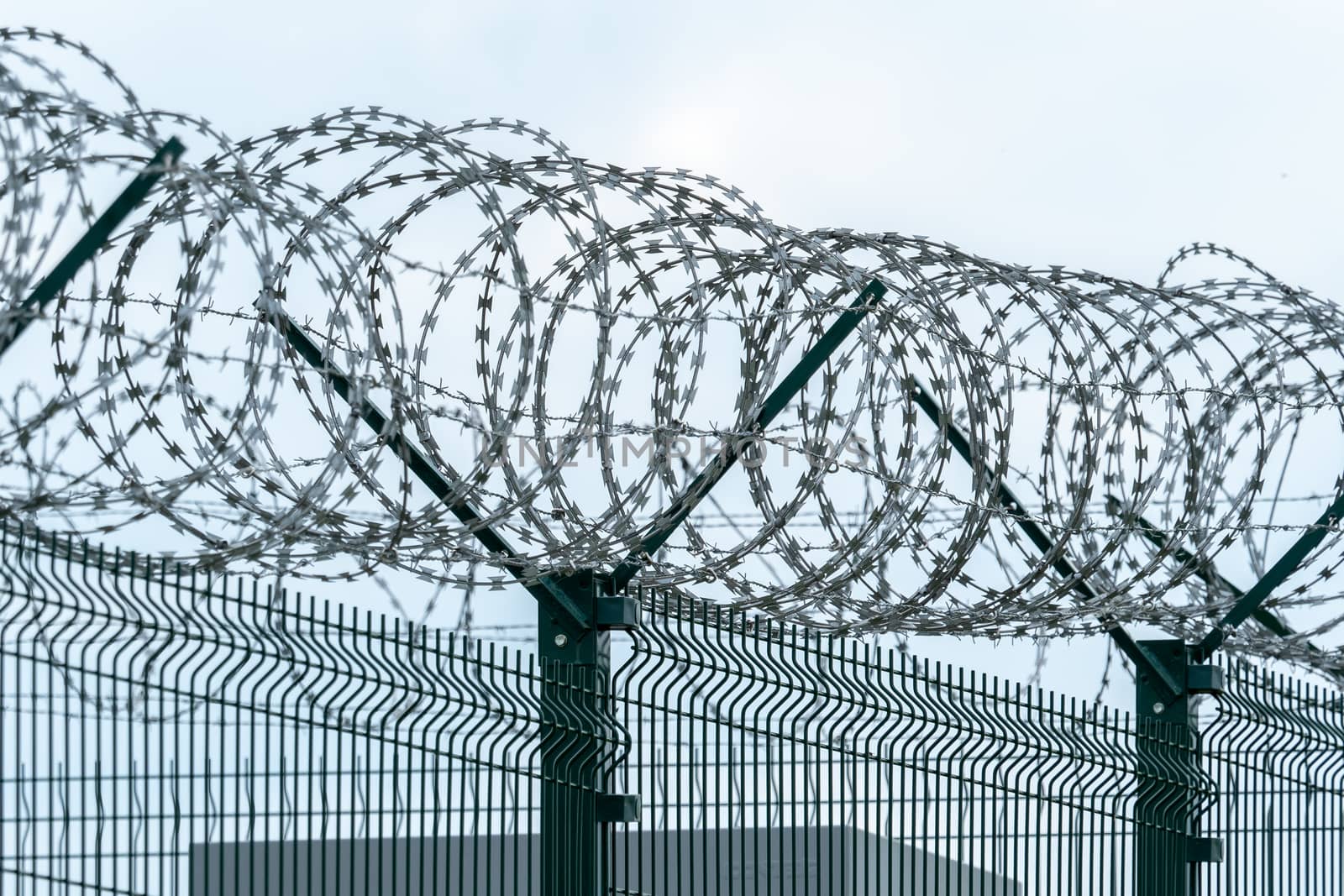 Security fence with a barbed wire. Fence with a barbed wire.