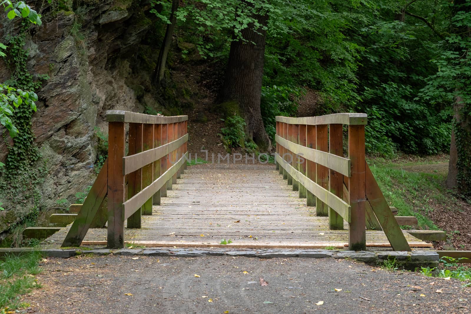 Wooden bridge with trees in the background by xtrekx