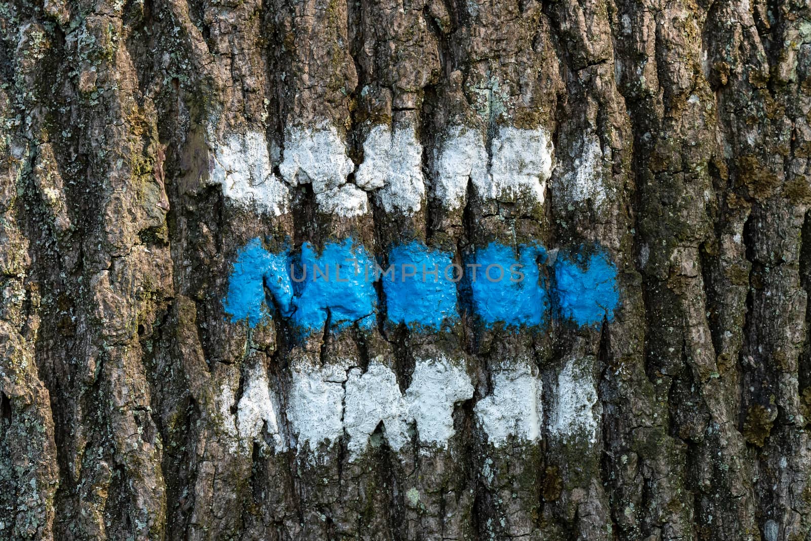 Tourist sign on the tree for a tourist trip