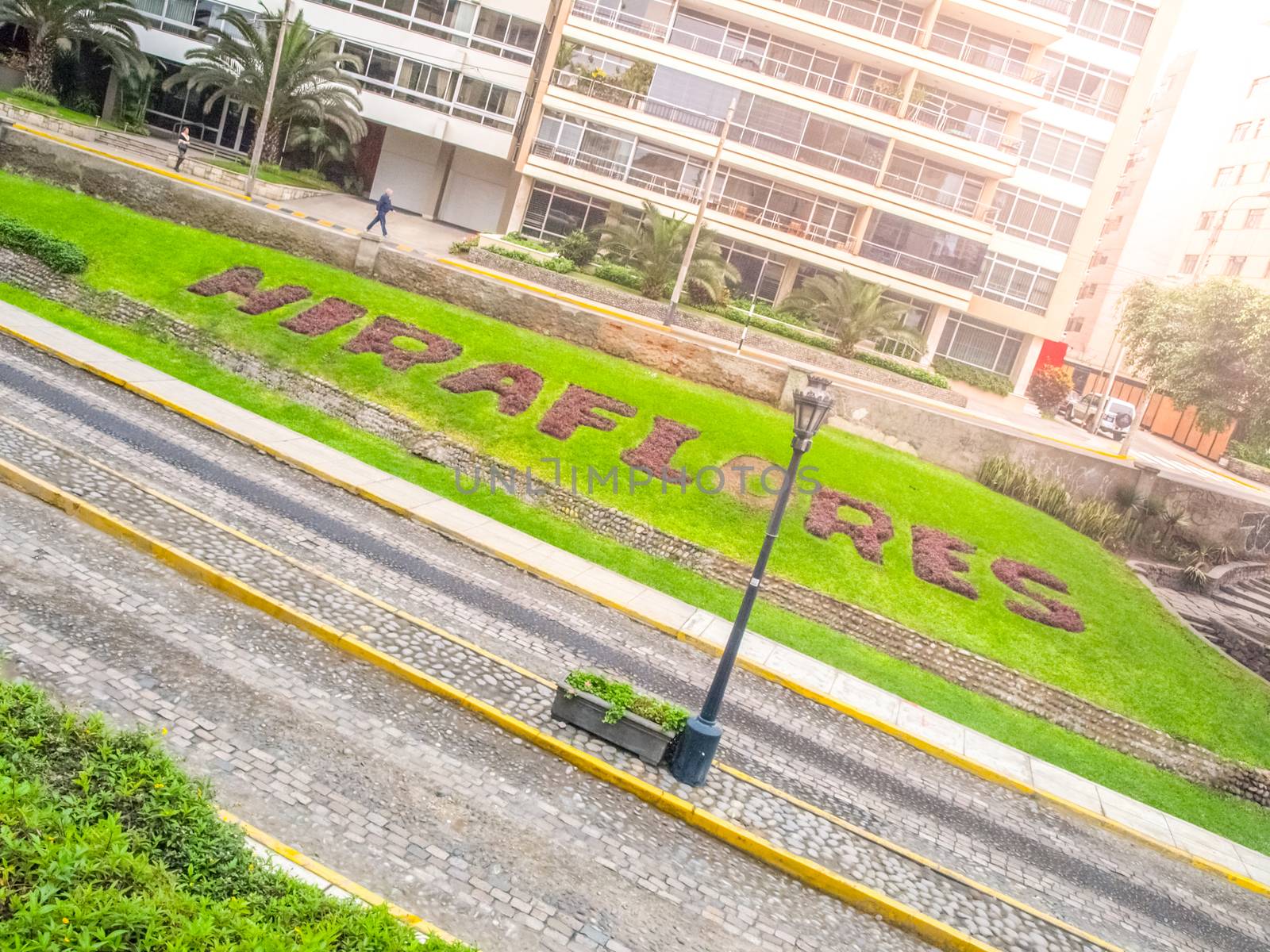 Miraflores district. Street and greenery, Lima Peru