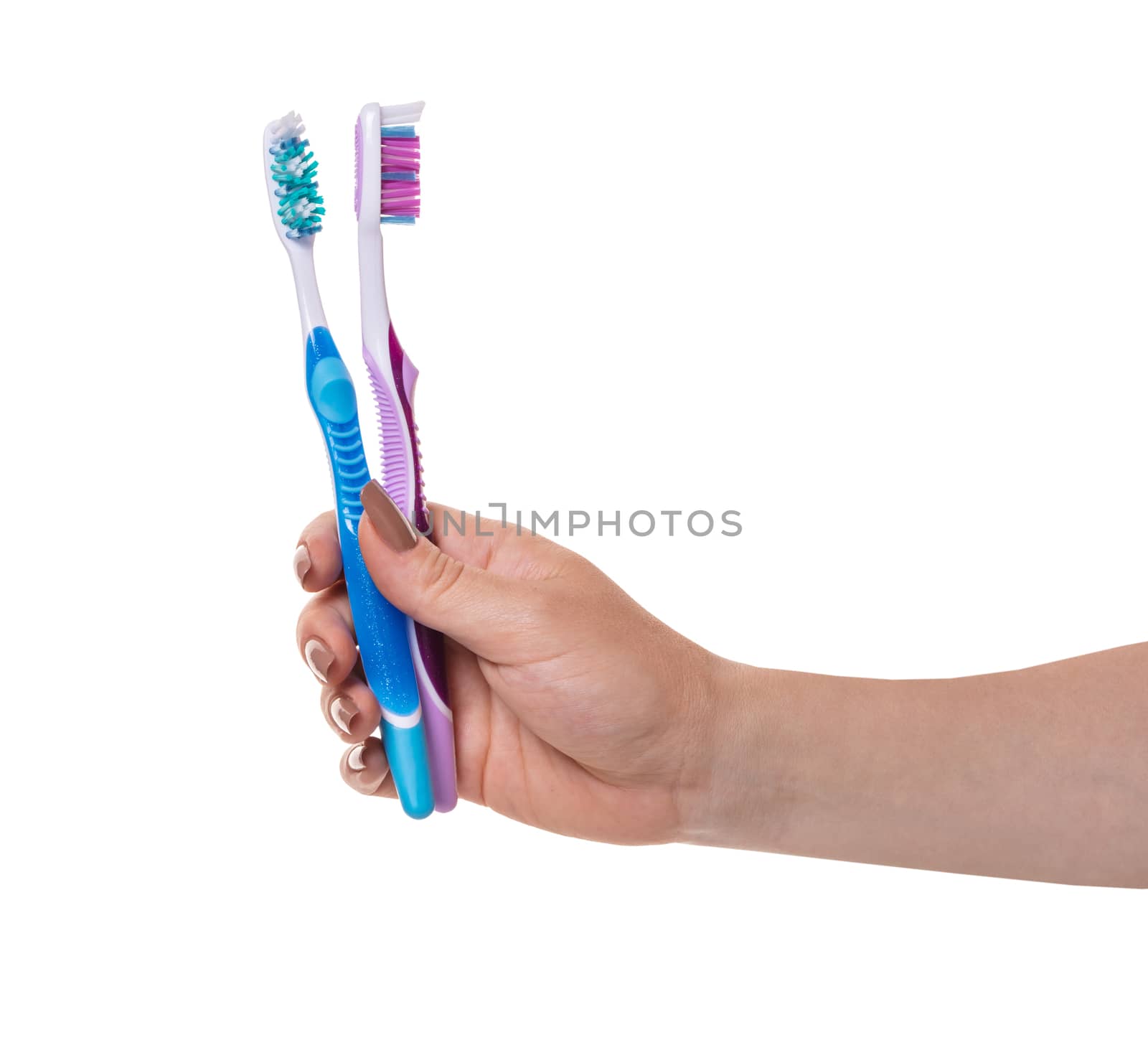 toothbrushes in a female hand on white isolated background