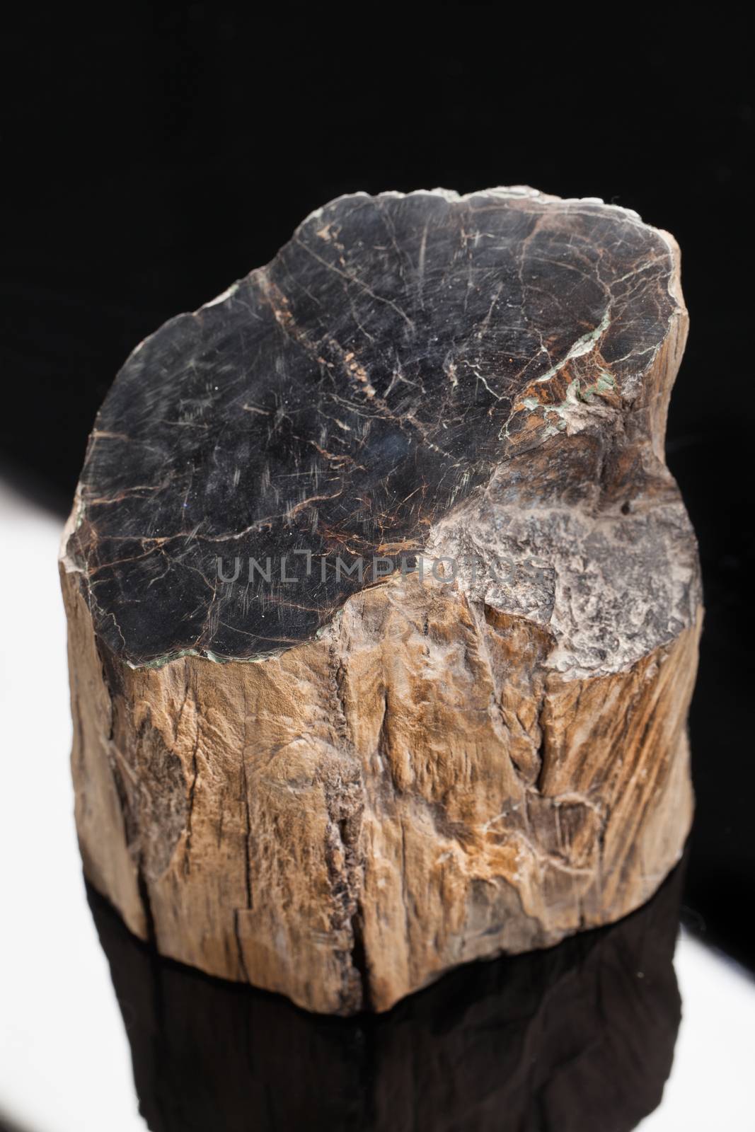 Piece of stone on a studio background