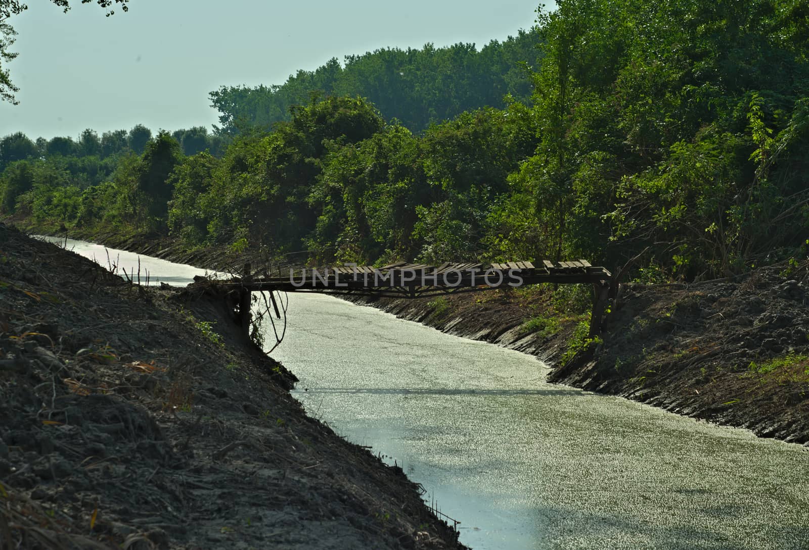 Rustic and dangerous bridge over small river by sheriffkule