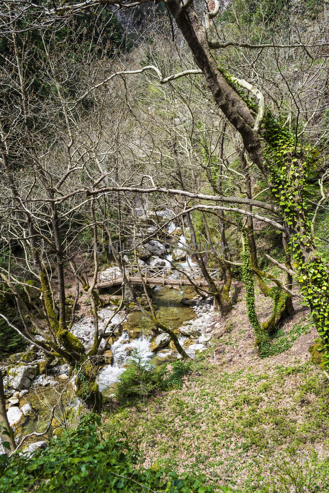 Wooden bridge on the path of Mavri Spilia - Black Cave, close to Proussos village by ankarb