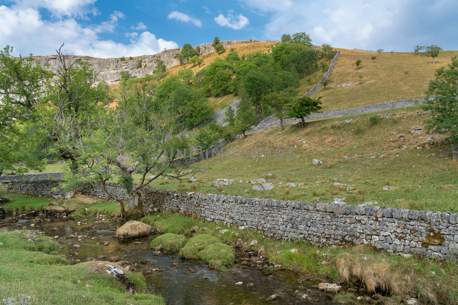 View of the countryside around Malham Cove in the Yorkshire Dale by phil_bird