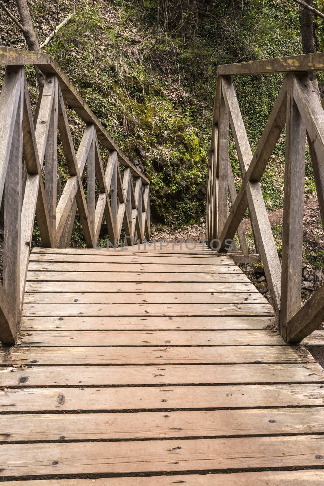 Wooden bridge on the path of Mavri Spilia (literally Black Cave), close to Proussos village, Greece