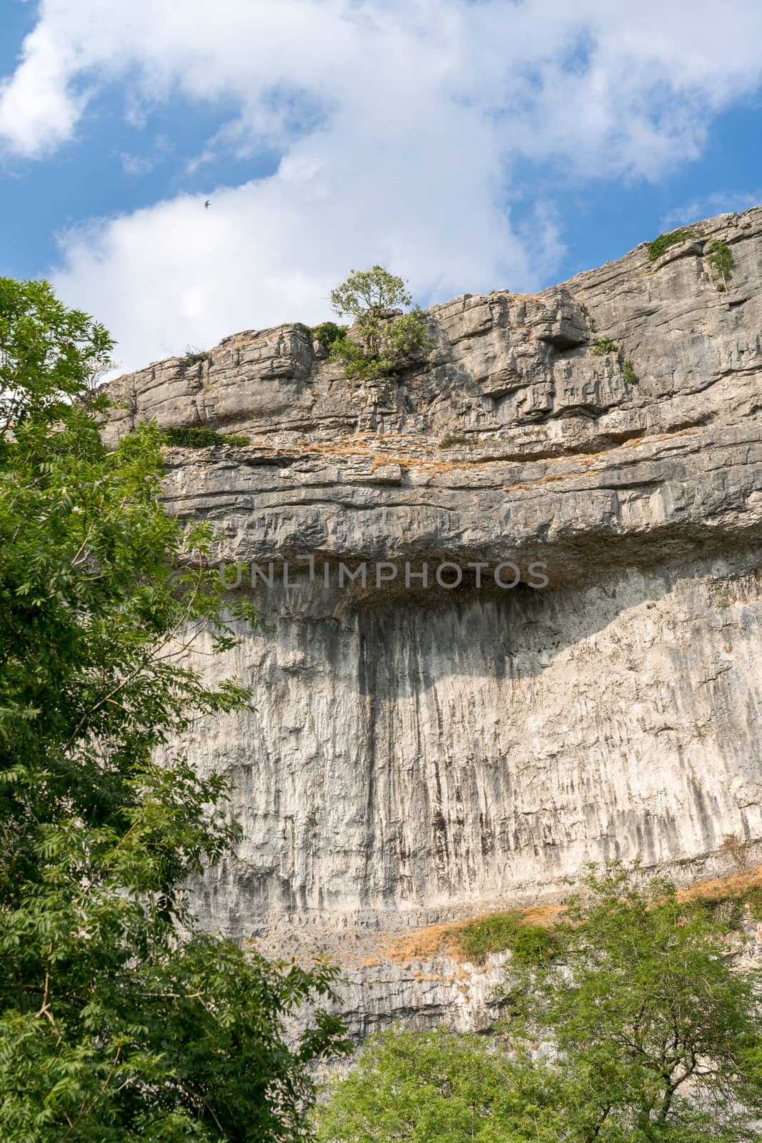 View of the curved cliff at Malham Cove in the Yorkshire Dales N by phil_bird