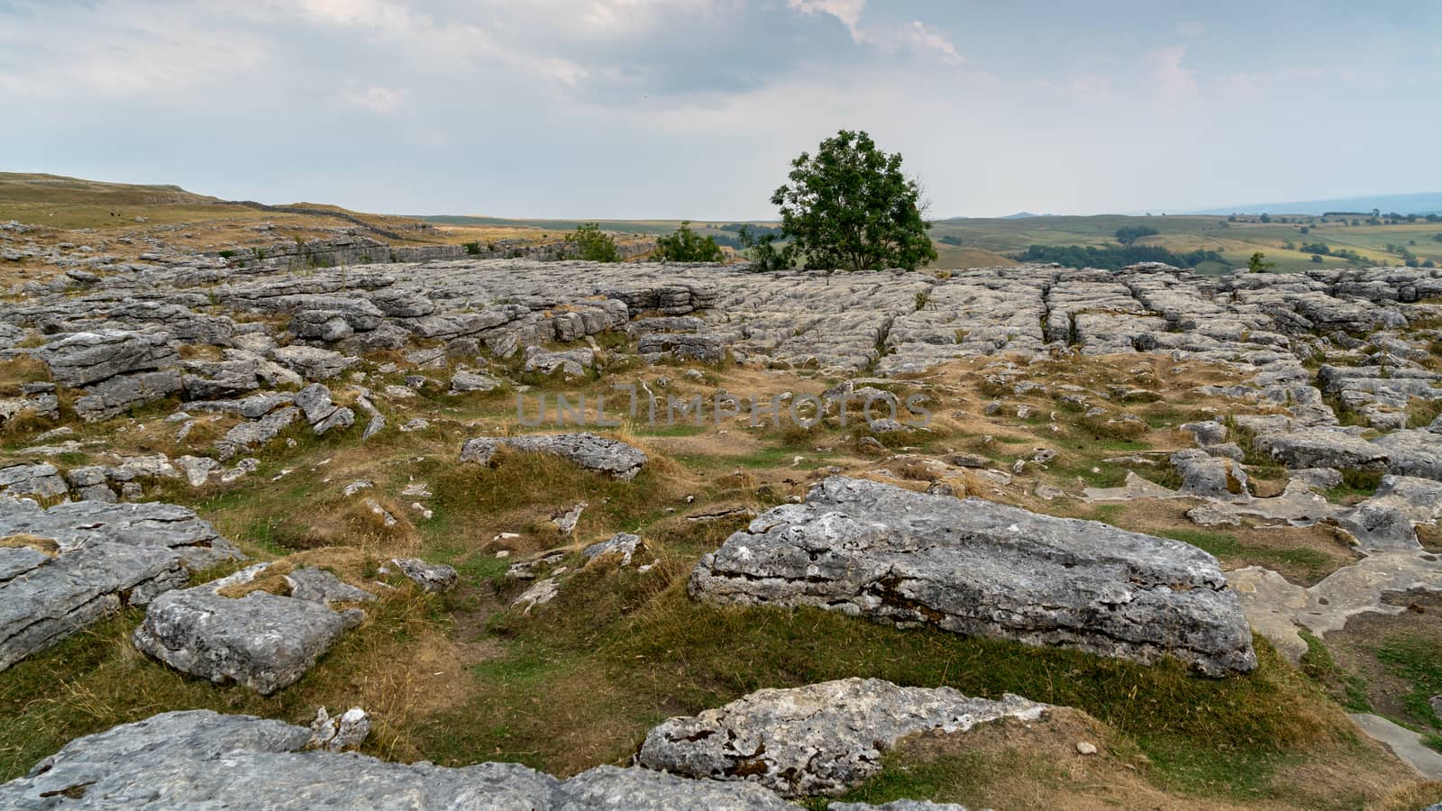 View of the Limestone Pavement above Malham Cove in the Yorkshir by phil_bird