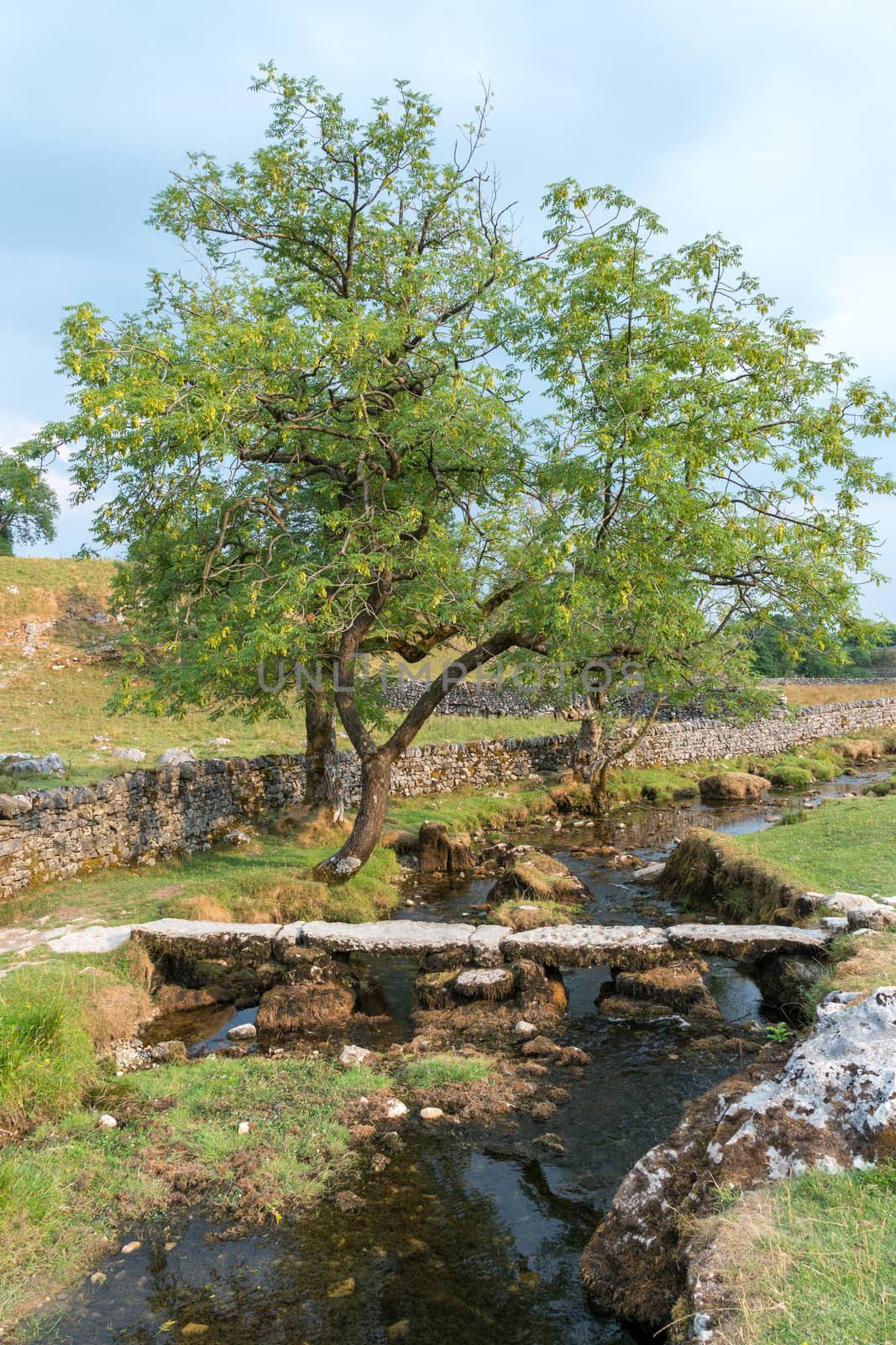 View of the countryside around Malham Cove in the Yorkshire Dales National Park