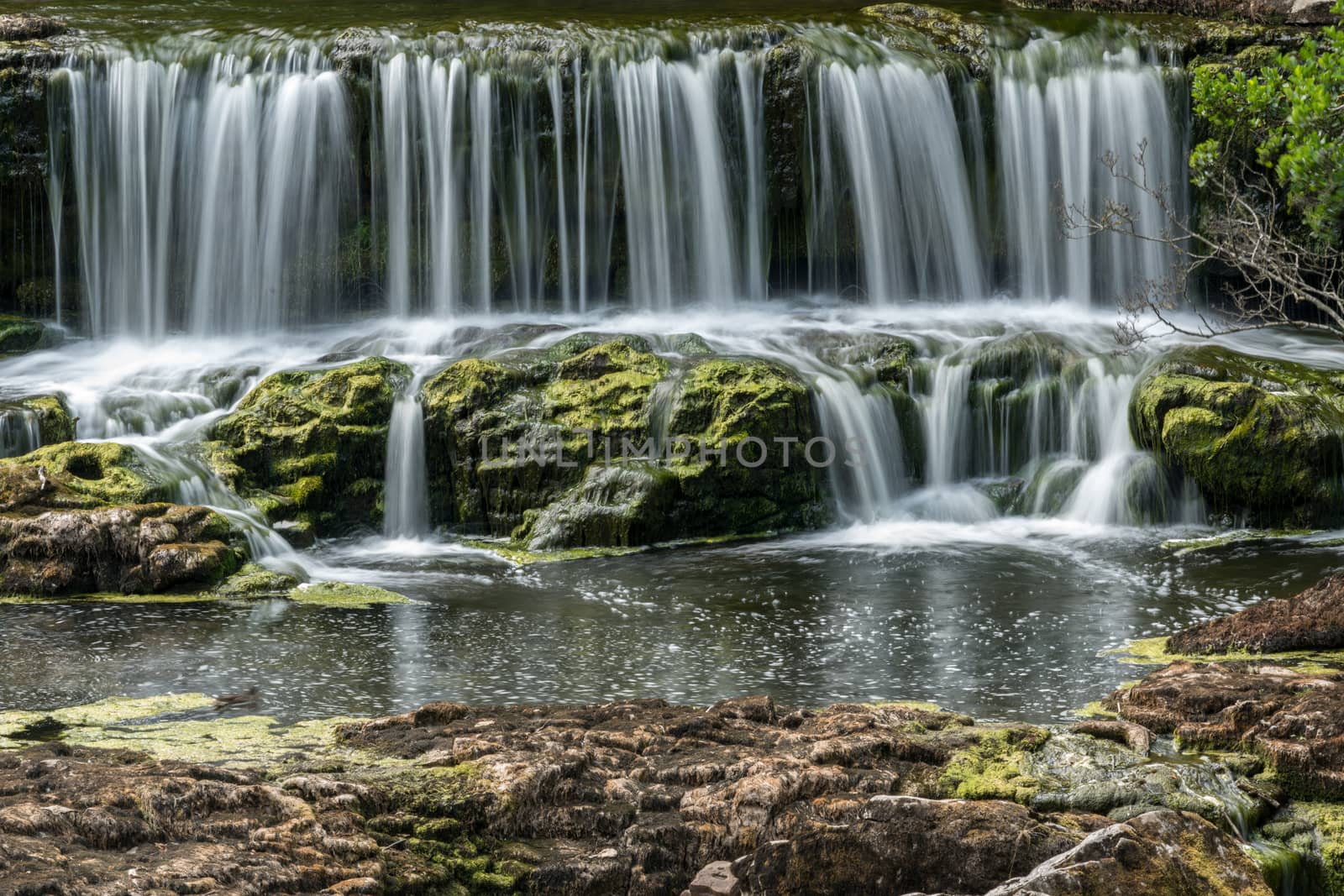 View of Aysgarth Falls at Aysgarth in The Yorkshire Dales Nation by phil_bird