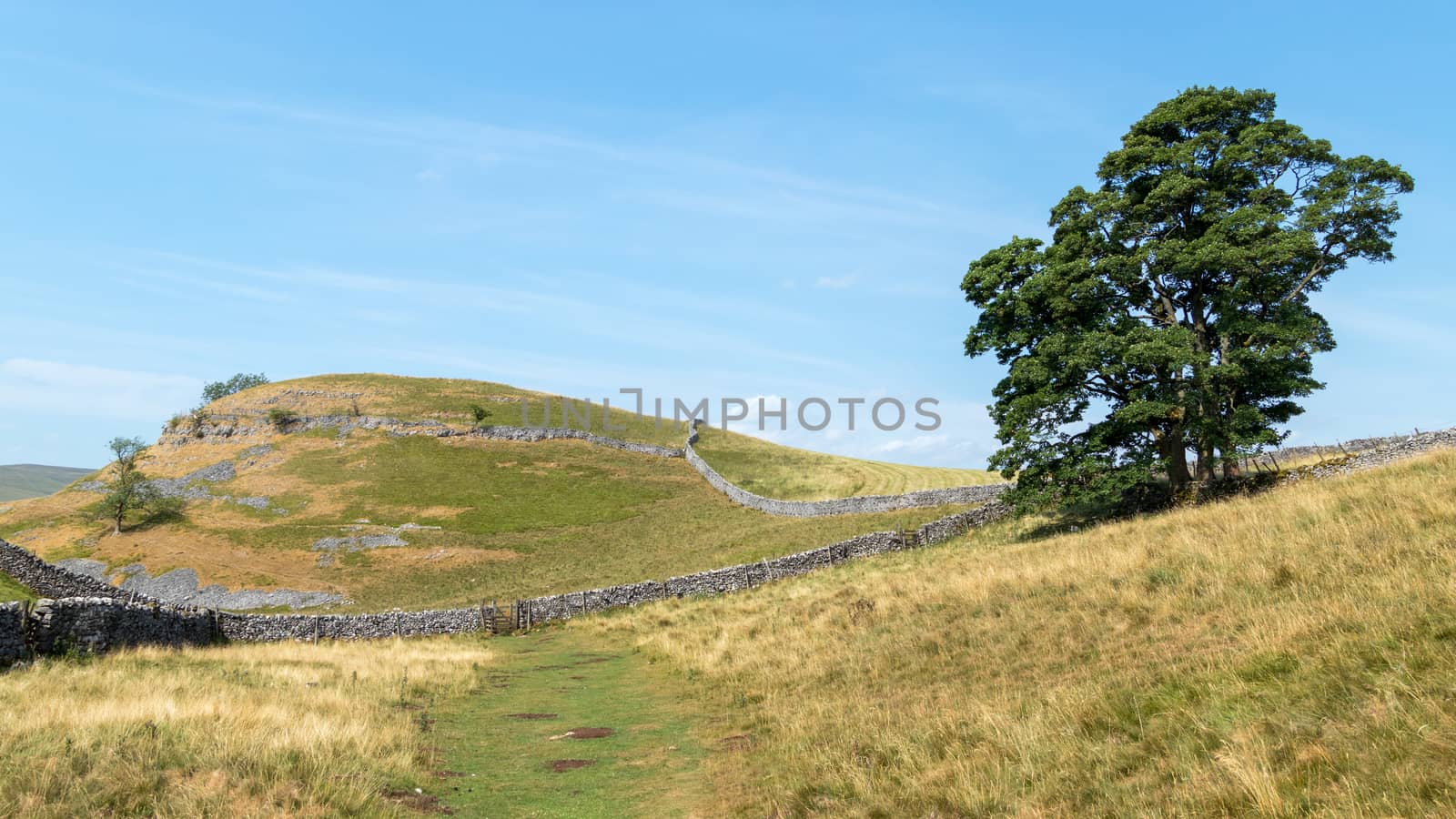 View of the countryside around the village of Conistone in the Y by phil_bird