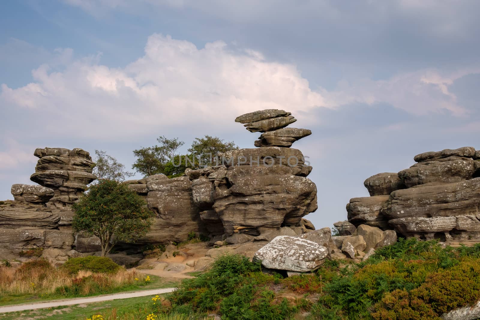 Scenic view of Brimham Rocks in Yorkshire Dales National Park by phil_bird
