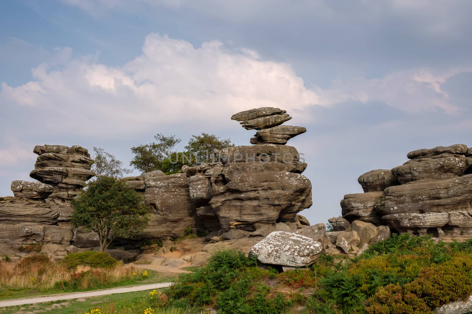 Scenic view of Brimham Rocks in Yorkshire Dales National Park