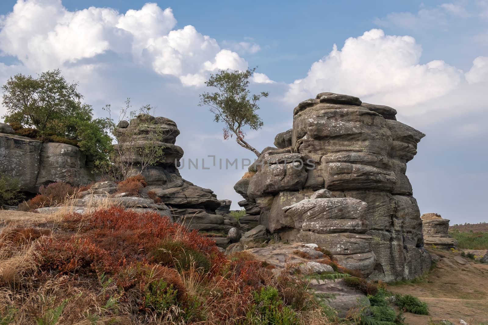 Scenic view of Brimham Rocks in Yorkshire Dales National Park by phil_bird