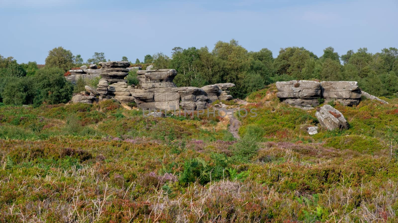 Scenic view of Brimham Rocks in Yorkshire Dales National Park by phil_bird