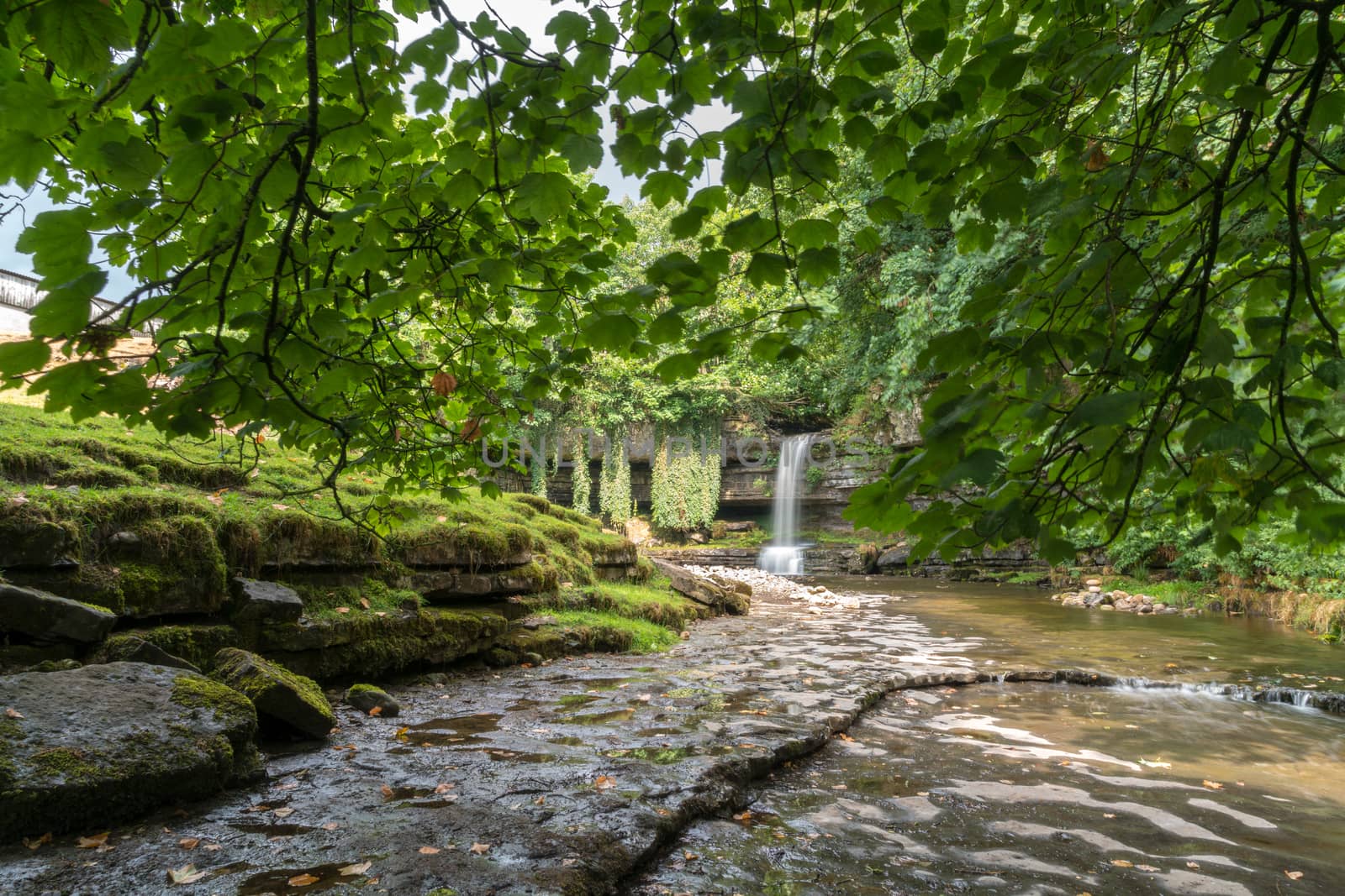 View of Askrigg Waterfall in the Yorkshire Dales National Park by phil_bird