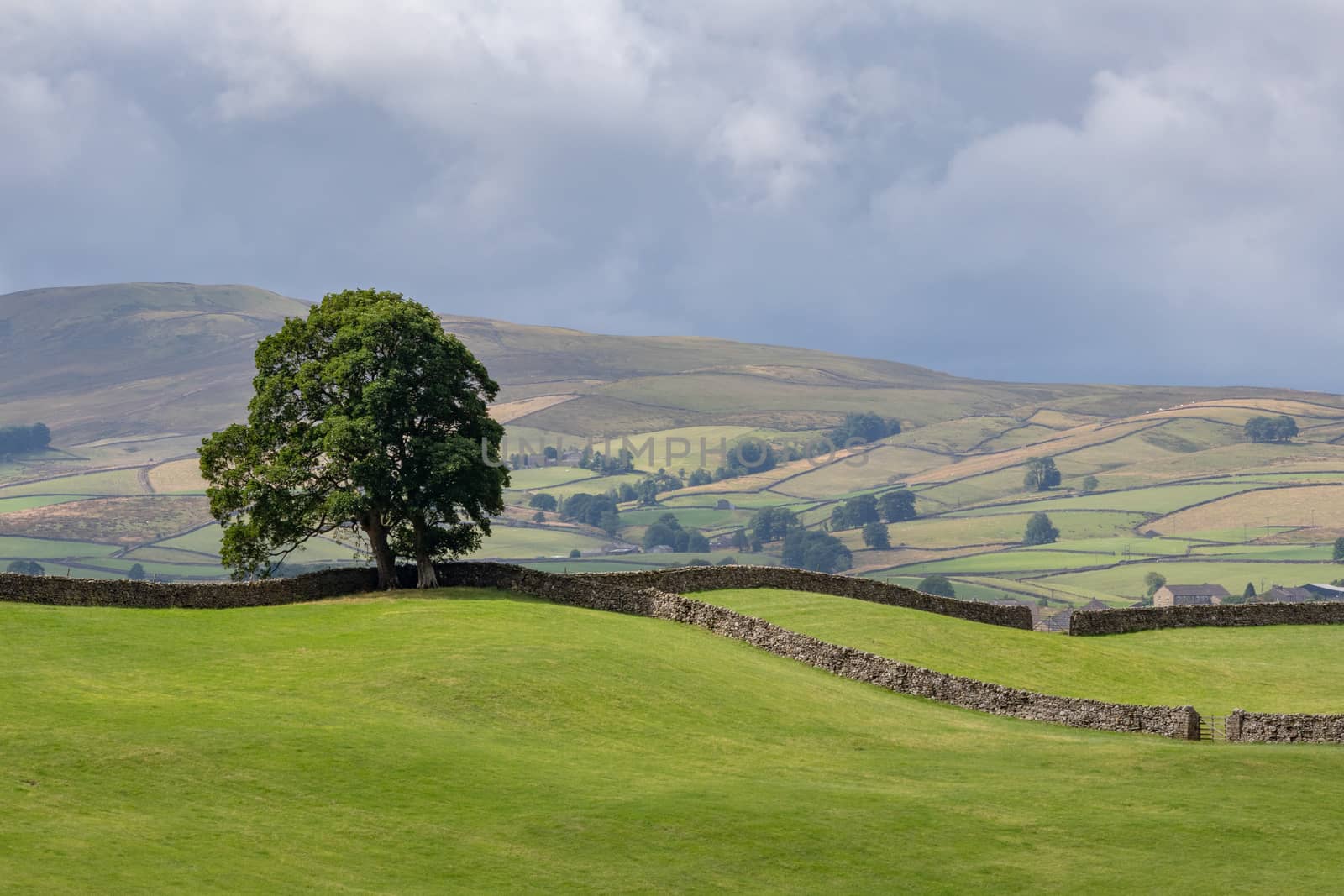 View of the rolling hills in the Yorkshire Dales National Park n by phil_bird