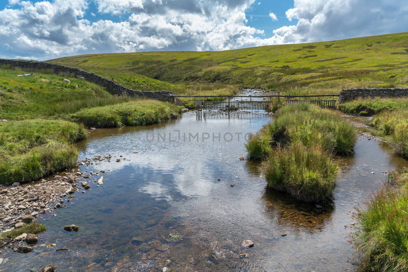 View along the River Twiss near Ingleton in Yorkshire by phil_bird